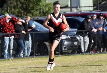 Blockbuster comes to Glover Reserve