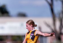 Stingrays go one from two