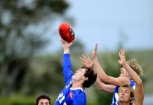 Clarke leads way for Doveton