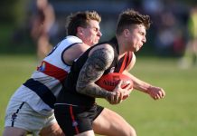 Jye King leads Spiders to dour win