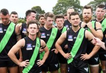 Doves continue scoring freely despite loss