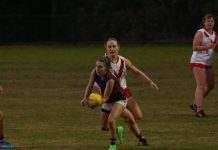 Lions overcome sluggish start to reel in reigning premiers