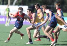 Shipp and Frangalas earn VFL call-ups