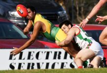 Crunch time for Dusties