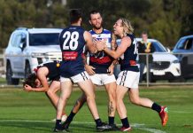 Panthers on the right path