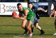 Taylor-made win for Bulldogs