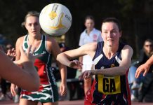 No splitting Dees and Gulls