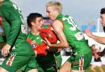 Late surge saves the Seagulls