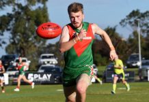 Our photographers are in fine form