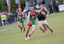 Seagulls take the first step