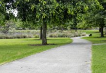 Drouin park plan open to consultation