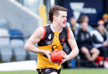 Binns, Frankston pair play important roles in VFL