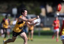 Stingrays pull off stirring comeback