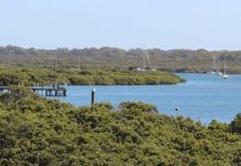 Cap on coastline catastrophe