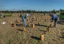 Landcare funding extended to 2026