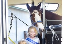 Creatures great and small