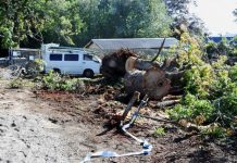 Cardinia Council takes over storm clean-up effort
