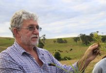 Thinking outside paddock