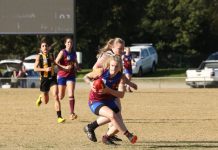 Depleted Lions show heart to overcome challenge from Tigers