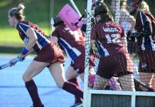 Two draws for Cannons