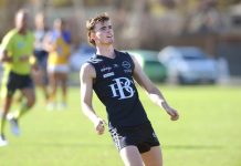 Berwick lets South Croydon Bulldogs off the lead