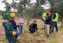 Protecting the environment in Cardinia