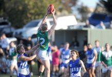 Brutal fortnight to bare fruit for Brookers