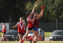Lively Lions leapfrog Bloods into top spot on the ladder