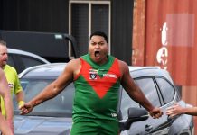 Seagulls strength shines through