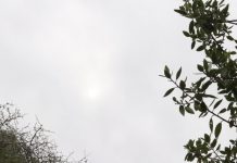 Wet weather soaks Cardinia