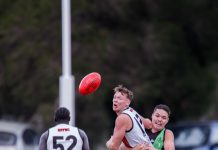 The best from the best