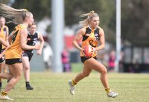 Besanko, Jatczak fly local flag