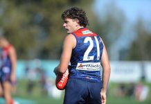 Casey bounced by Kangaroos