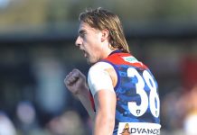 Casey arrests home ground demons in dominant VFL win