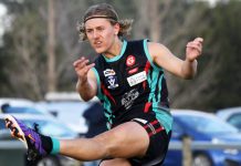 Cobras flex some serious muscle