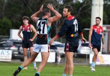 Cobras can almost taste it