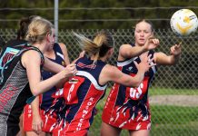 Demons enjoying a dream run