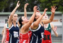 Seagulls’ spirit shines through