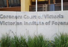 Measures to limit sports CTE risk reiterated