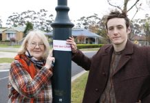 Residents call to ‘save our lamps’