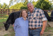 A breed apart from the rest