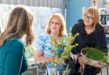 Indigenous plants showcased at Pakenham nursery