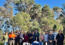 Planting day with landcare