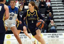 Milestone for popular Sans