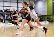 Warriors stuffing the stats sheet