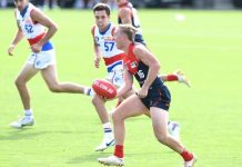 Demons bouncing back to form