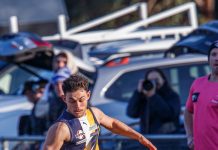 Eagles push Sharks to the limit