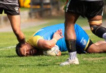 Perfect day to be an Eel