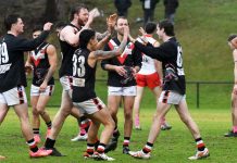 Panthers prowling again