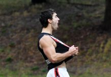 Extraordinary year for humble Hillis